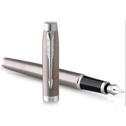 Pluma Estilográfica Parker IM Essential CT Acero